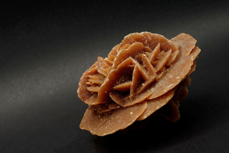 DSC07688_Gypsum (var. Desert rose) - Ouargla province, Algeria_FMF.JPG