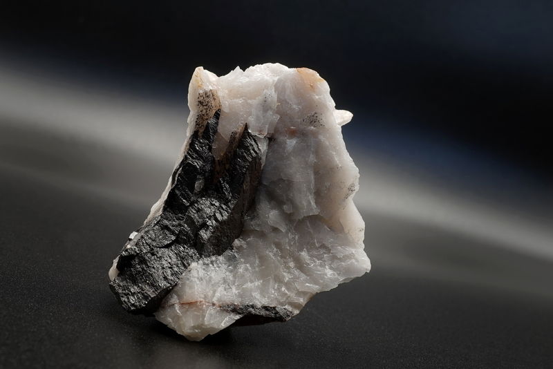 DSC08363_Wolframite Quartz - Montredon- Labessonie, Tarn, France_FMF.JPG