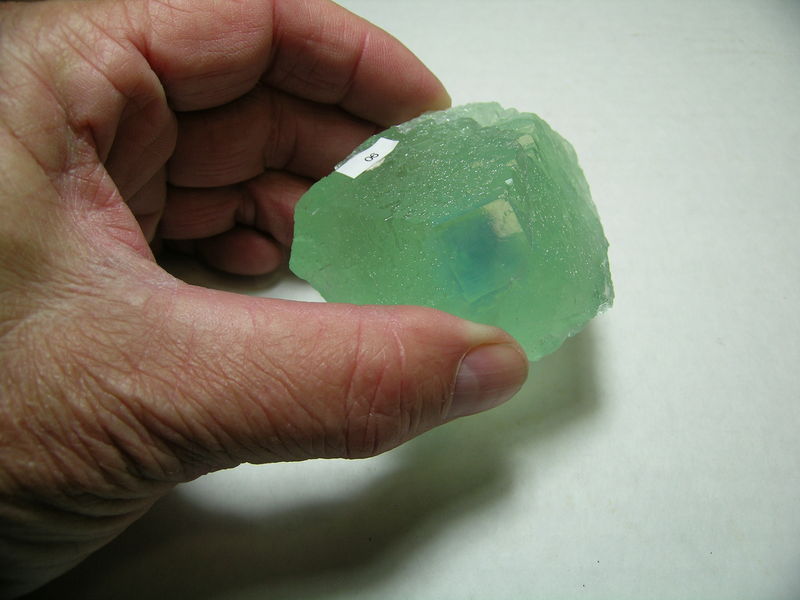 DSCN5957.JPG