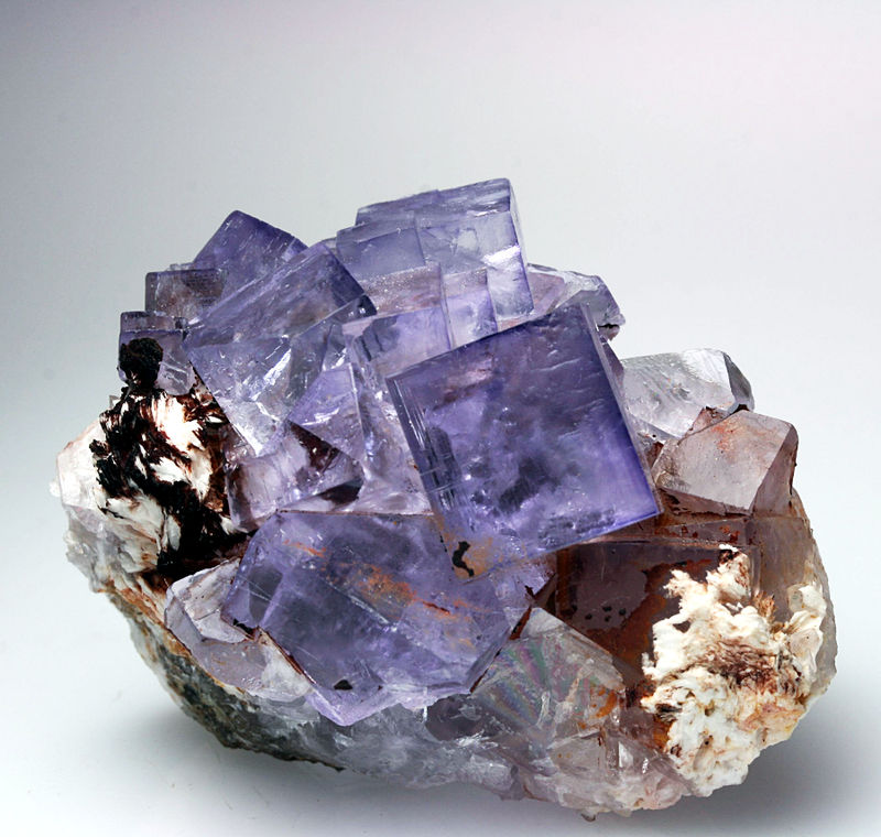 fluorite1828bis[1].jpg