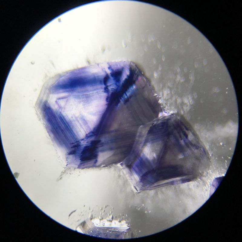 fluorite1.jpg