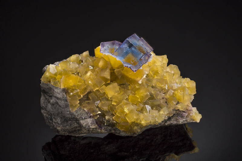 Fluorite-MinervaMine-Illinois-150mm-VRigatti-Denver0916-12.jpg