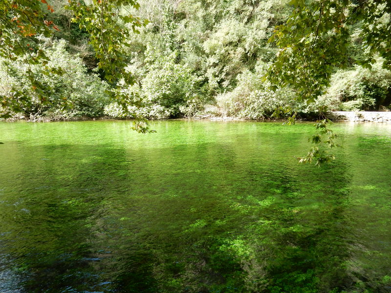 Fontaine-de-Vaucluse - Sorgue.JPG