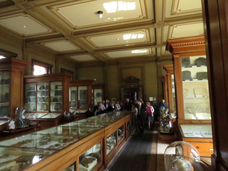 fossil gallery.jpg