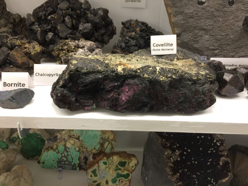 Franklin, RCG, Covellite, Butte Ditrict, MT.JPG