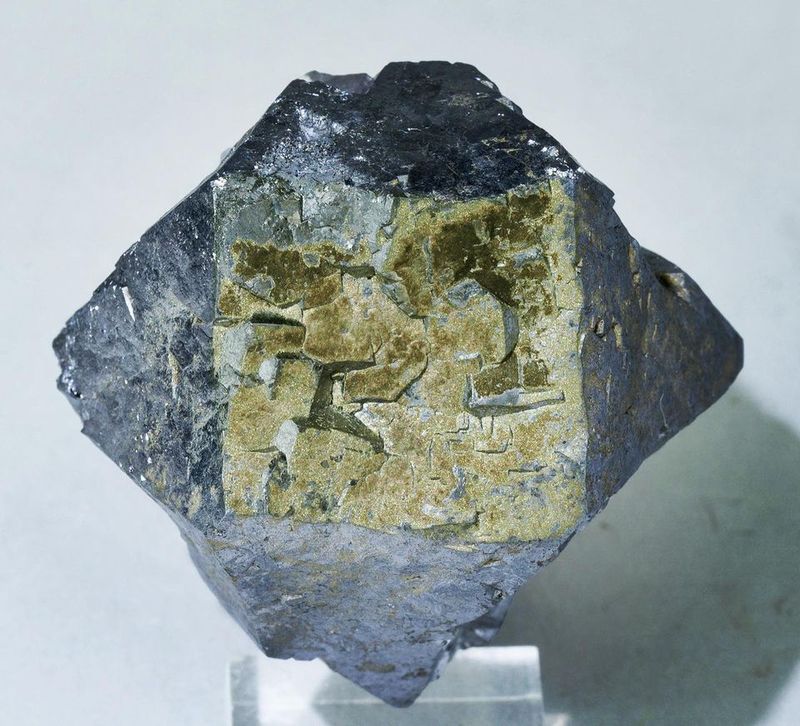 Galena with Pyrite - Weardale_County Durham_United Kingdom.jpg