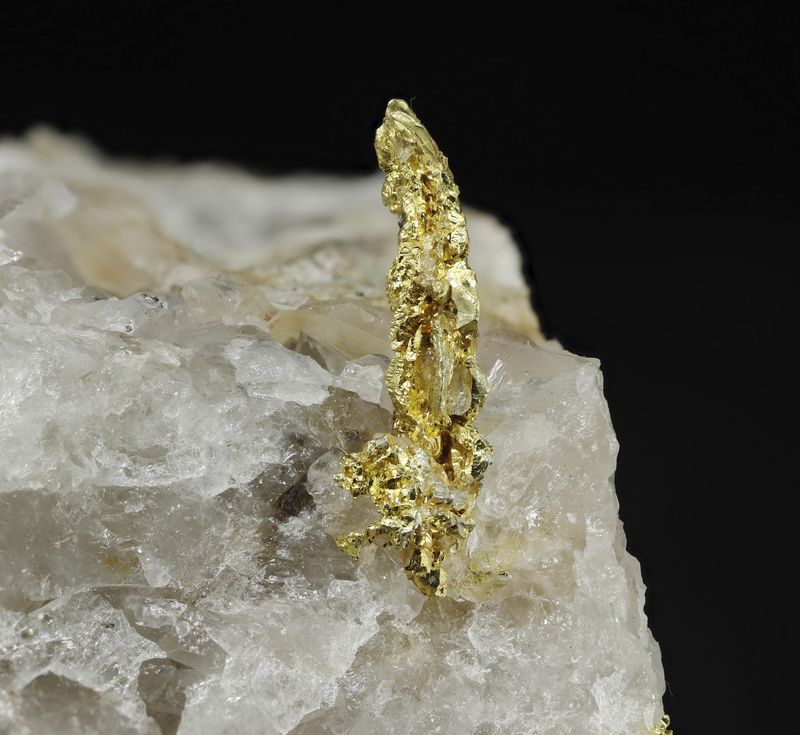 Gold on Quartz from Aouint Ighoman detail.jpg