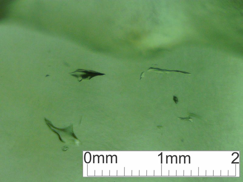 LDG_08_34_scale.jpg