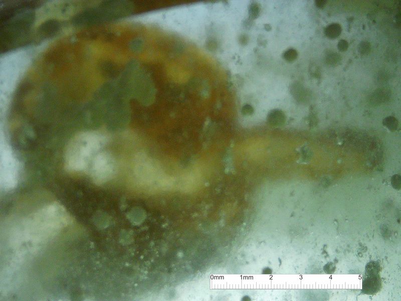 LDG_20_074_scale.jpg