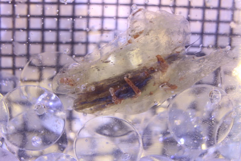 LDG_21_032.JPG