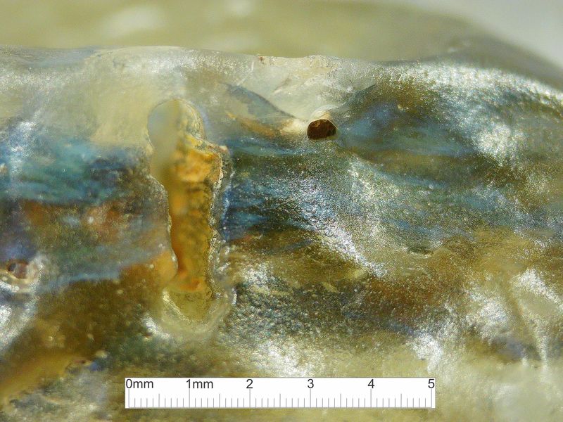 LDG_21_061_scale.jpg
