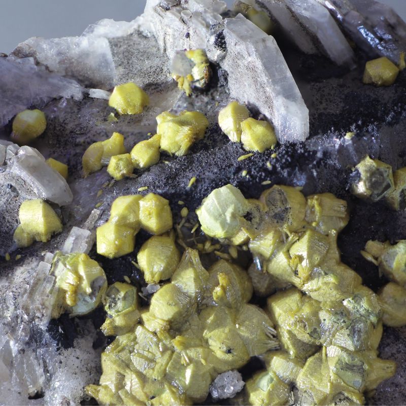 Mimetite (var Campylite) Dry Gill Mine Caldbeck Fell Cumbria UK (G).JPG