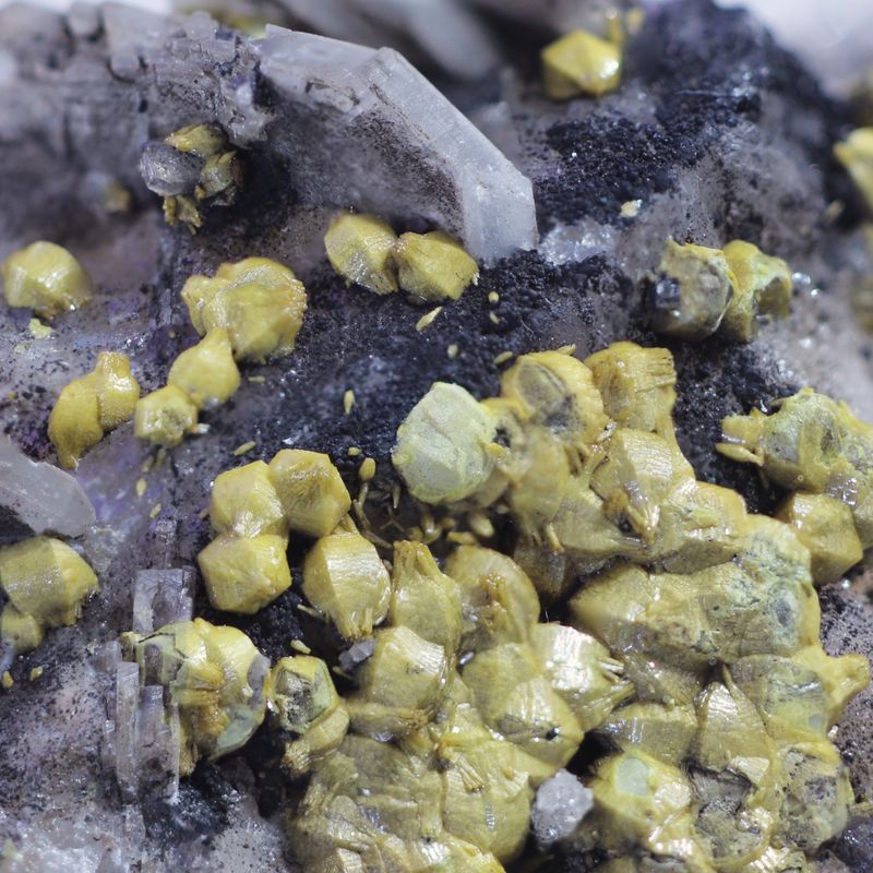 Mimetite (var Campylite) Dry Gill Mine Caldbeck Fell Cumbria UK (I).JPG