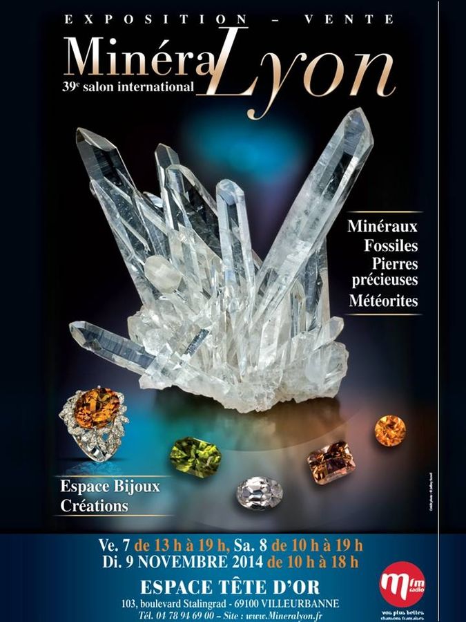 MineraLyon - 39eme-salon-international.jpg