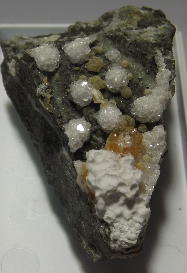 Mullian Lizard Datolite with Calcite.JPG