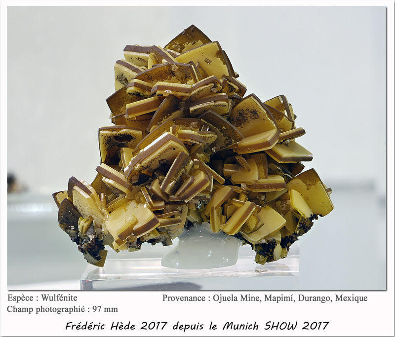 munich2017-017.jpg