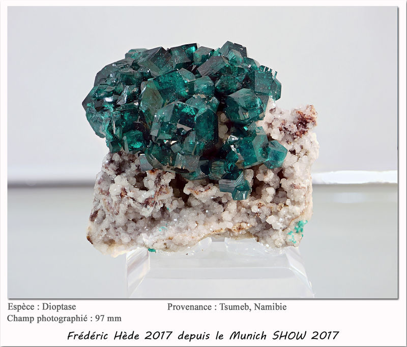 munich2017-018.jpg