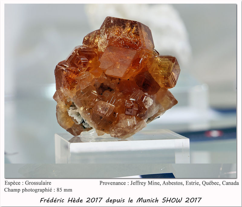 munich2017-020.jpg