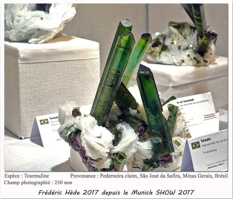 munich2017-021.jpg