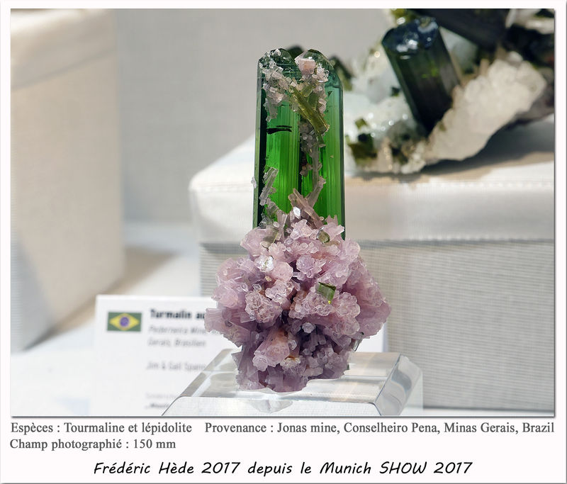 munich2017-022.jpg