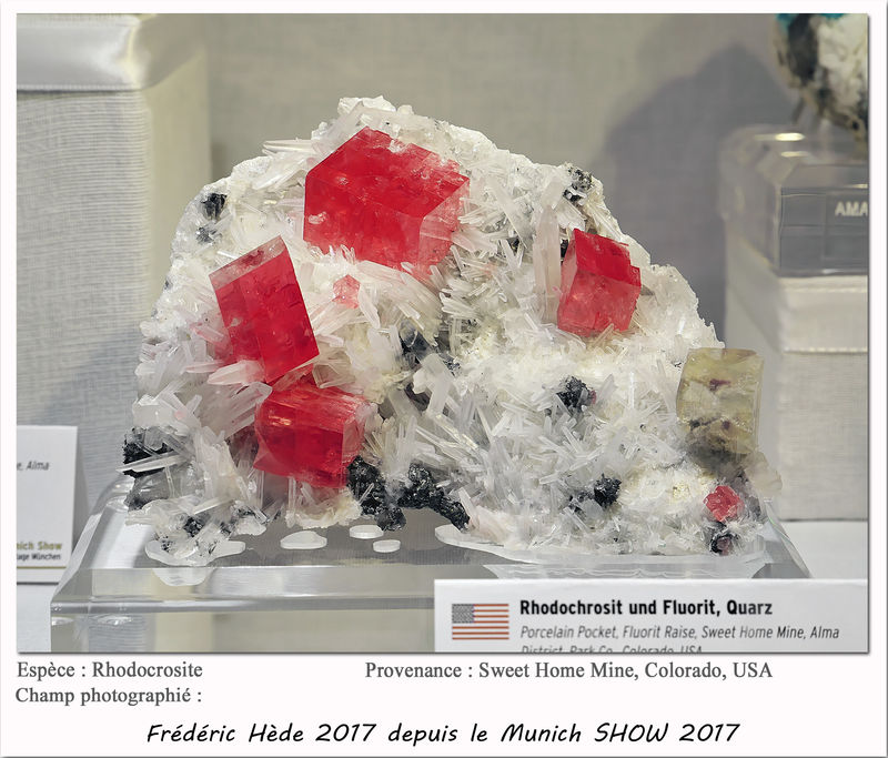 munich2017-024.jpg