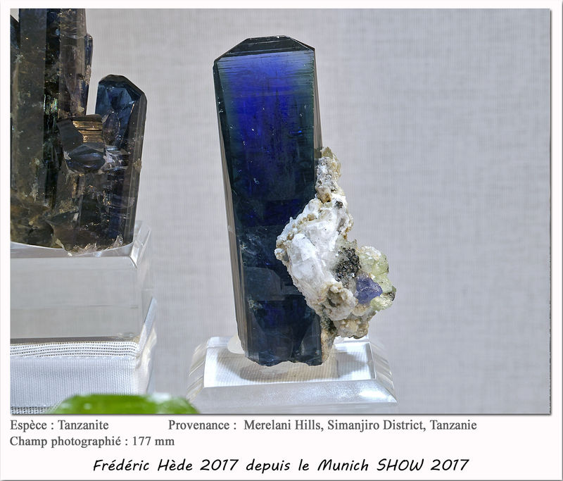 munich2017-028.jpg