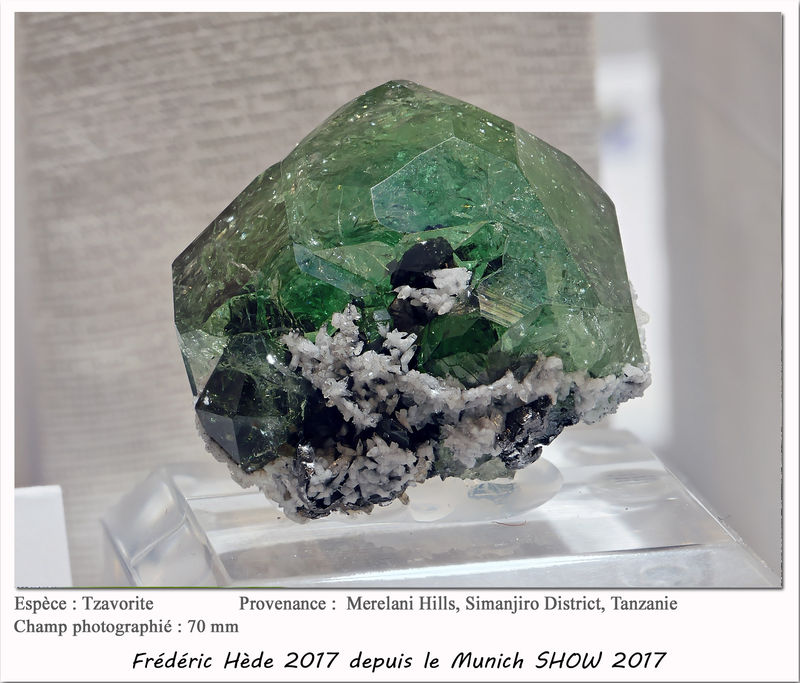 munich2017-029.jpg