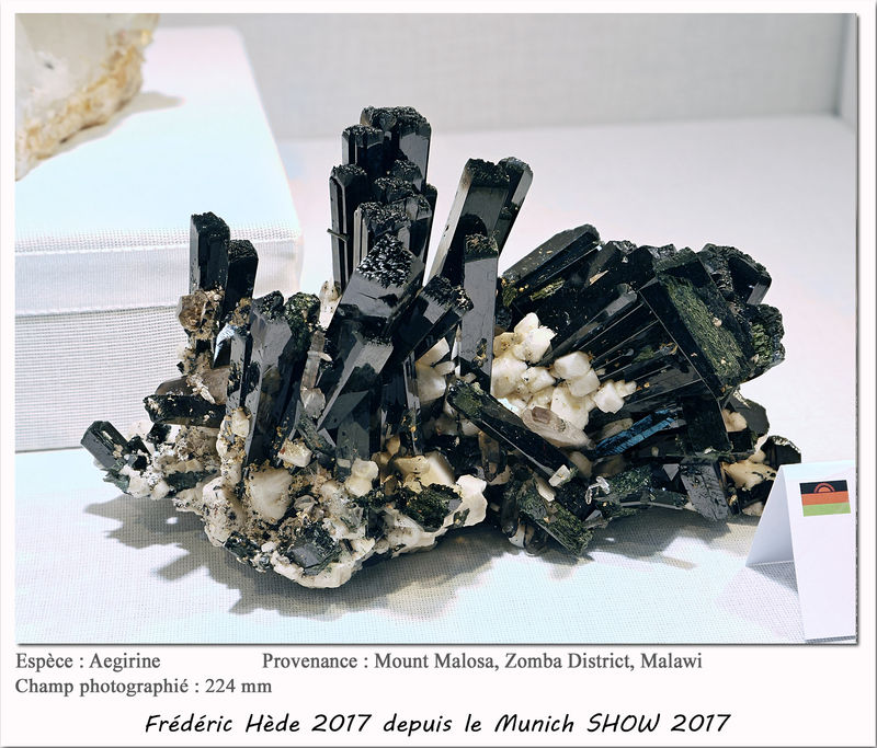 munich2017-030.jpg