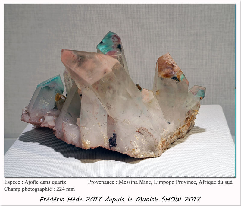 munich2017-032.jpg