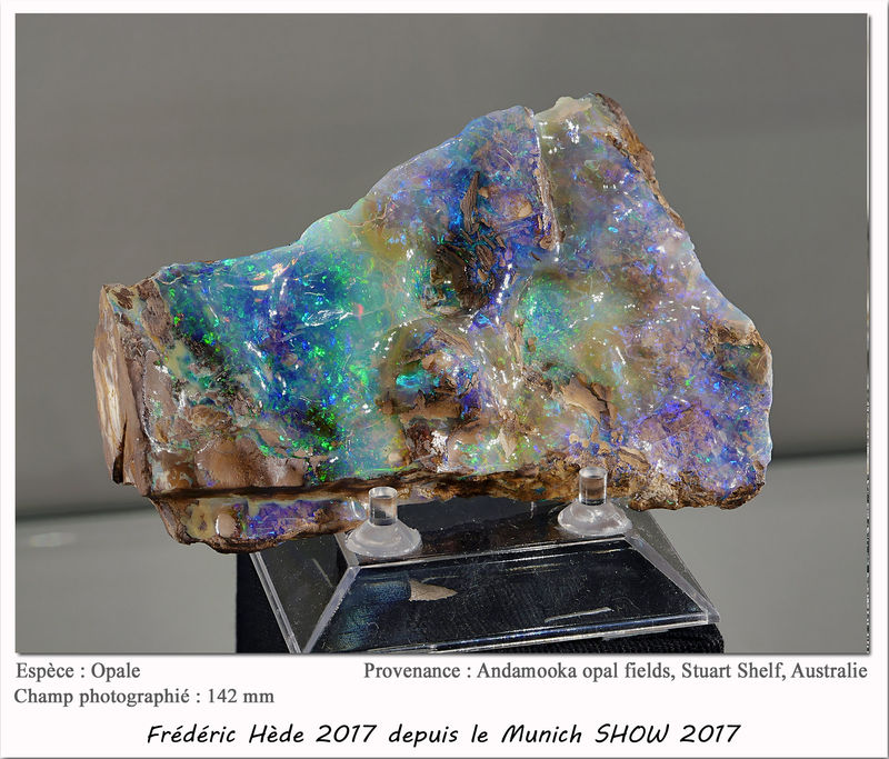 munich2017-034.jpg