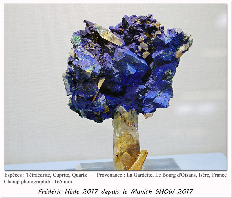munich2017-037.jpg