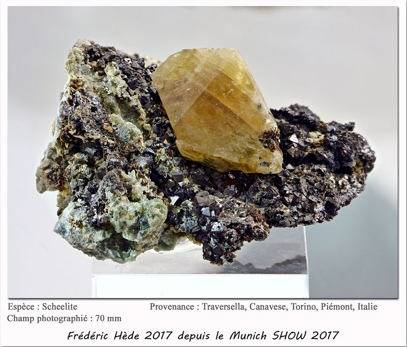 munich2017-045.jpg