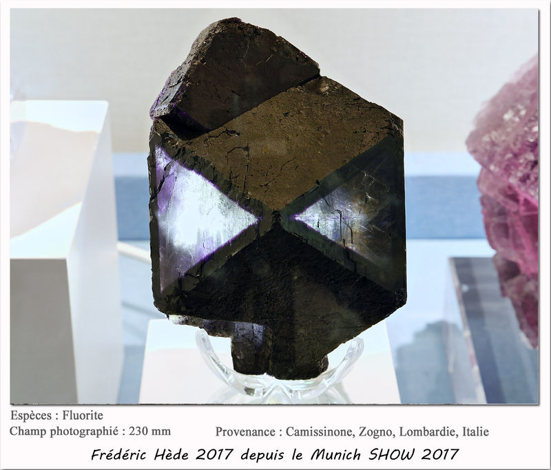 munich2017-056.jpg