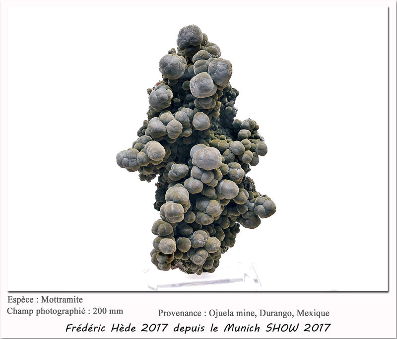munich2017-067.jpg