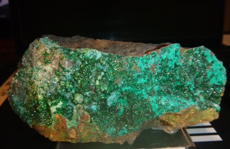 P1020290.1.jpg