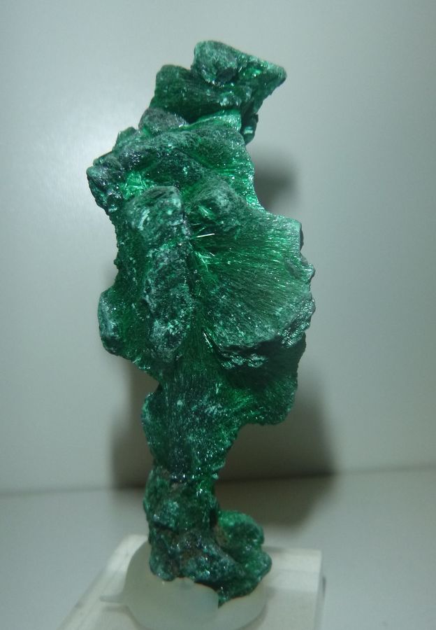 P1020843.1.jpg