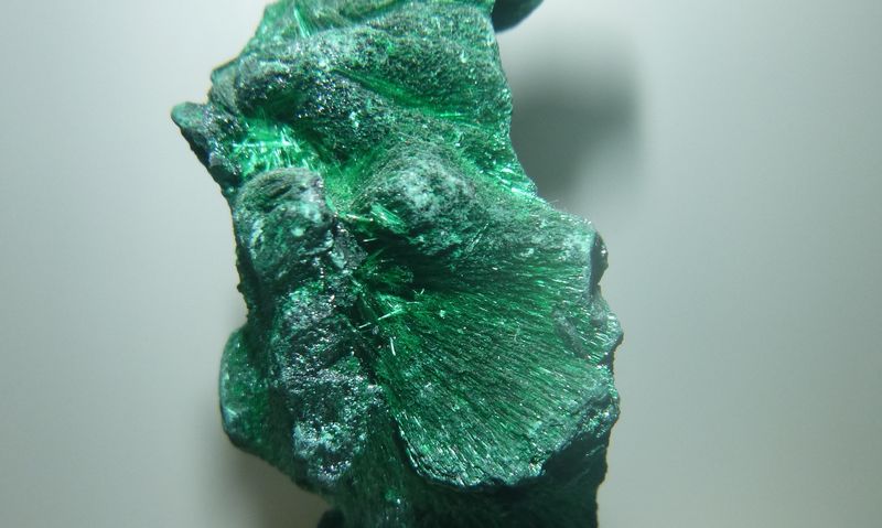 P1030021.1.jpg