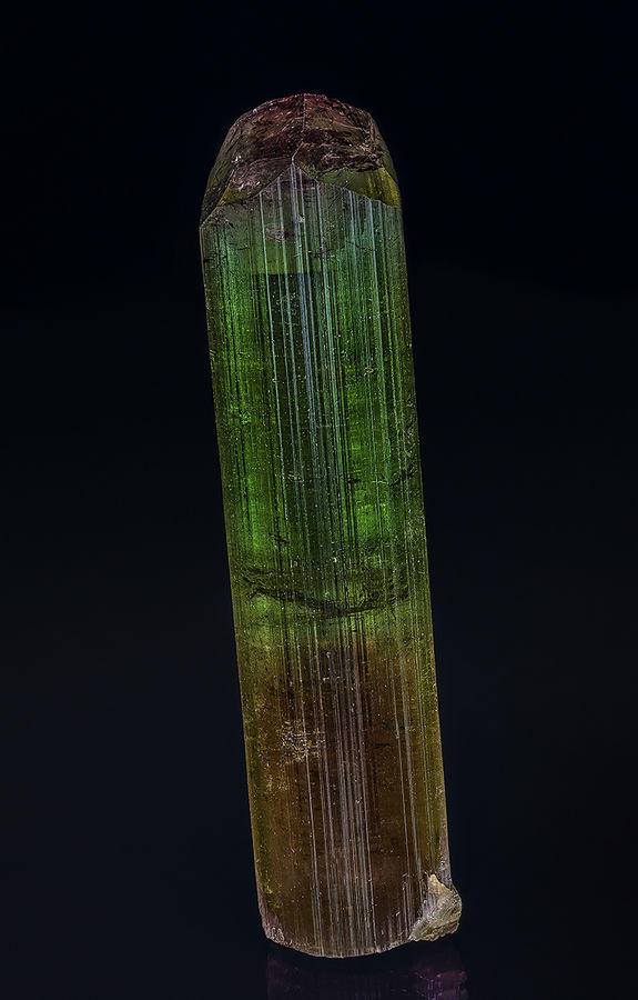 PechElbaite1.jpg