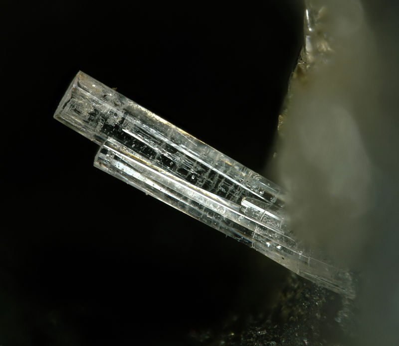 Penfieldite2 1.6mm.jpg