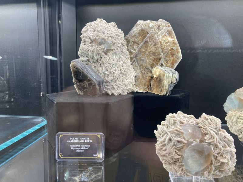 Polylithionite, Albite, Topaz, Volodarsk-Volynskii, Ukraine.JPG