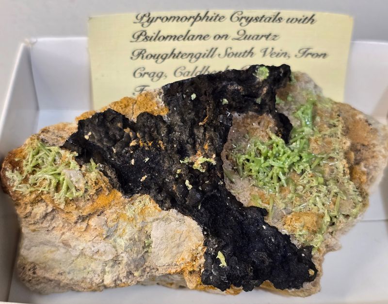 Pyromorphite Roughten Gill South Vein Iron Crag Caldbeck Fell Cumbria v4.jpg
