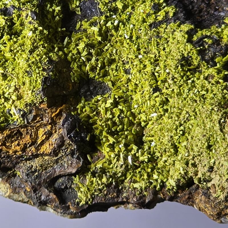 Pyromorphite.Hardrigg edge Hartside. Cumbria. UK v1.jpg