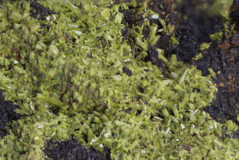 Pyromorphite.Hardrigg edge Hartside. Cumbria. UK v2.jpg