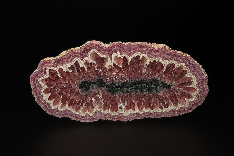 RhodoAmSl.jpg
