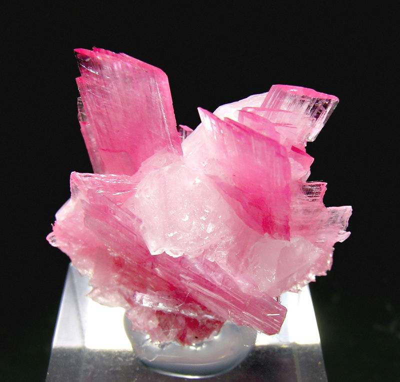 Rhodonite - San Martín Mine_Ancash Department_Peru.jpg