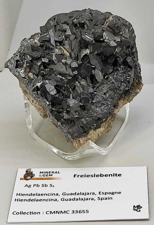 Sainte-Marie-aux-Mines 2025 (12).jpg