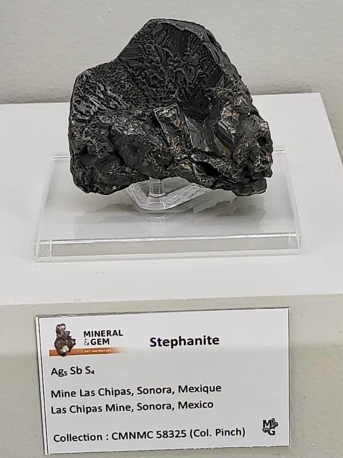 Sainte-Marie-aux-Mines 2025 (16).jpg