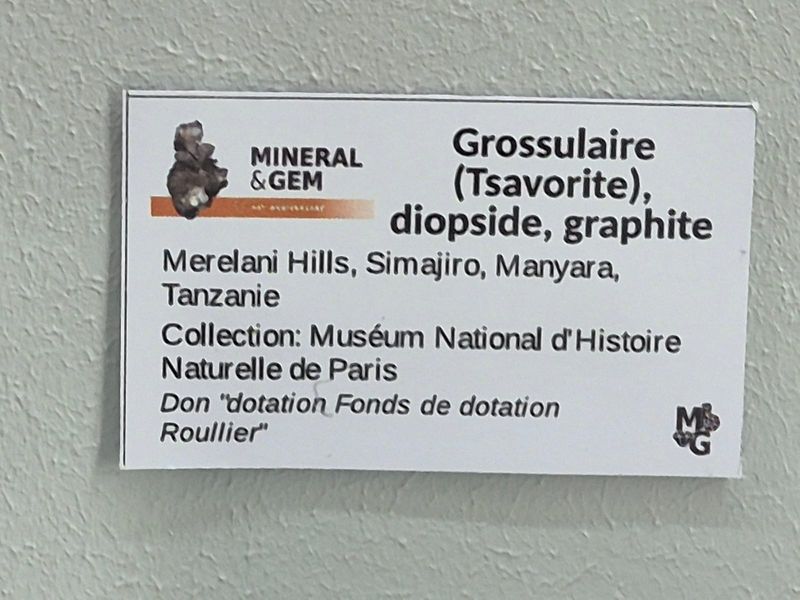 Sainte-Marie-aux-Mines 2025 - Mineral Expo (1).jpg
