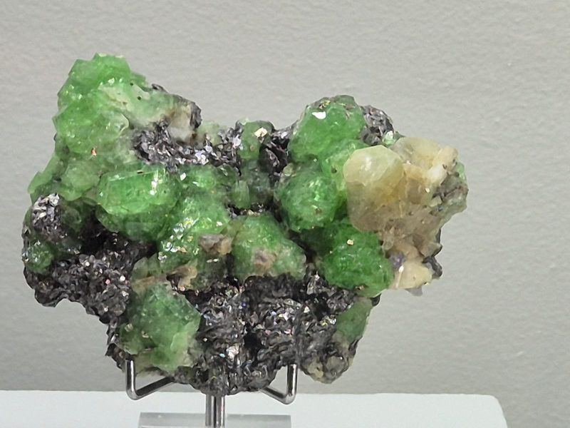 Sainte-Marie-aux-Mines 2025 - Mineral Expo (2).jpg