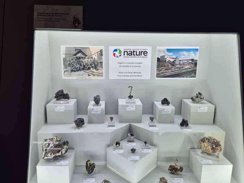 Sainte-Marie-aux-Mines 2025 - Mineral Expo (4).jpg